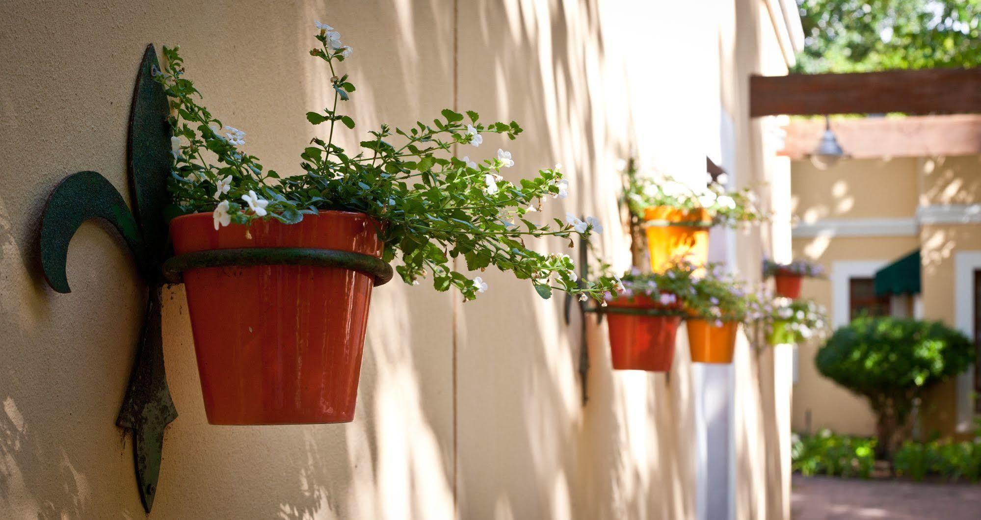 Willowbrook Country House Cape Town Ngoại thất bức ảnh